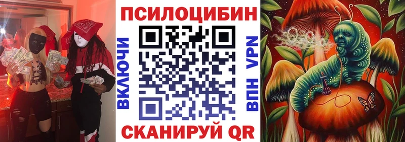 закладки  blacksprut tor  Псилоцибиновые грибы Magic Shrooms  Петров Вал 